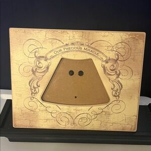 Our Precious Miracle Decorative Picture Frame for Ultrasound Photo